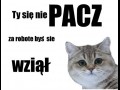 Ty sięnie pacz