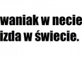 Cwaniak W necie , Pizda w świecie...