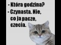 Która godzina