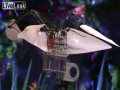 Robot który lata jak ptak