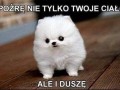 Pożrę...
