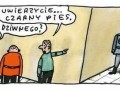 Czarny pies