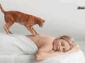 Mrrrr