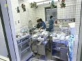 Urodzeni w Obcym Ciele 03 Kiedy dziewczyny stają się