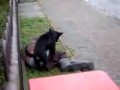 Nigdy nie zasypiaj po pijaku!