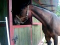Panie przodem