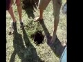Ile ludzi zmieści się w dziurze?