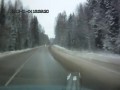 Łoś, który potrafi naprawiać światła mijania