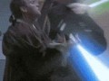 Star wars cat