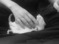 Sweet rat