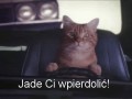 Jade ci wpierdolić