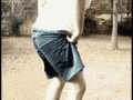 Trampolina