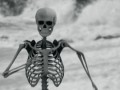 Skeleton love