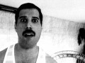 Freddie