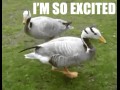 Im so excited