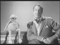 Kermit wampir