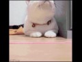 Nooo