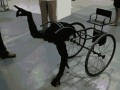 Wtf