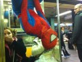 Spiderman