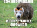 Szok