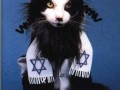 Happy hanukkah