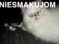 Niesmaczne