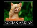 Kociak