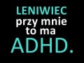 Leniwiec przy mnie