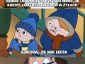 Ludwiczek