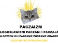 Paczacz