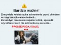 Kobiety w aucie