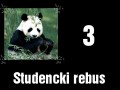 Studencki rebus