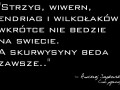 Sapkowski prawde ci powie