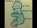 Anatomia dziecka