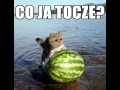 Co ja tocze