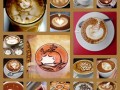 Barista