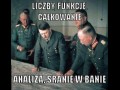 Analiza matematyczna