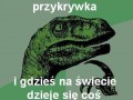 Acta przykrywka