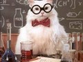 Chemistry cat