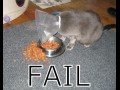 Fail