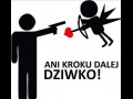Amorek