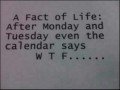 Calendar says