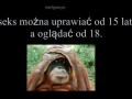 Inteligencja