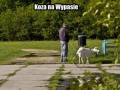 Koza na wypasie