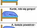 Kocyk