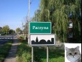 Paczyna