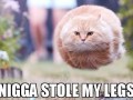 Nigga stole my legs
