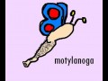 Motylek
