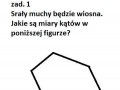 Matematyka