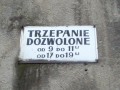 Trzepanie dozwolone